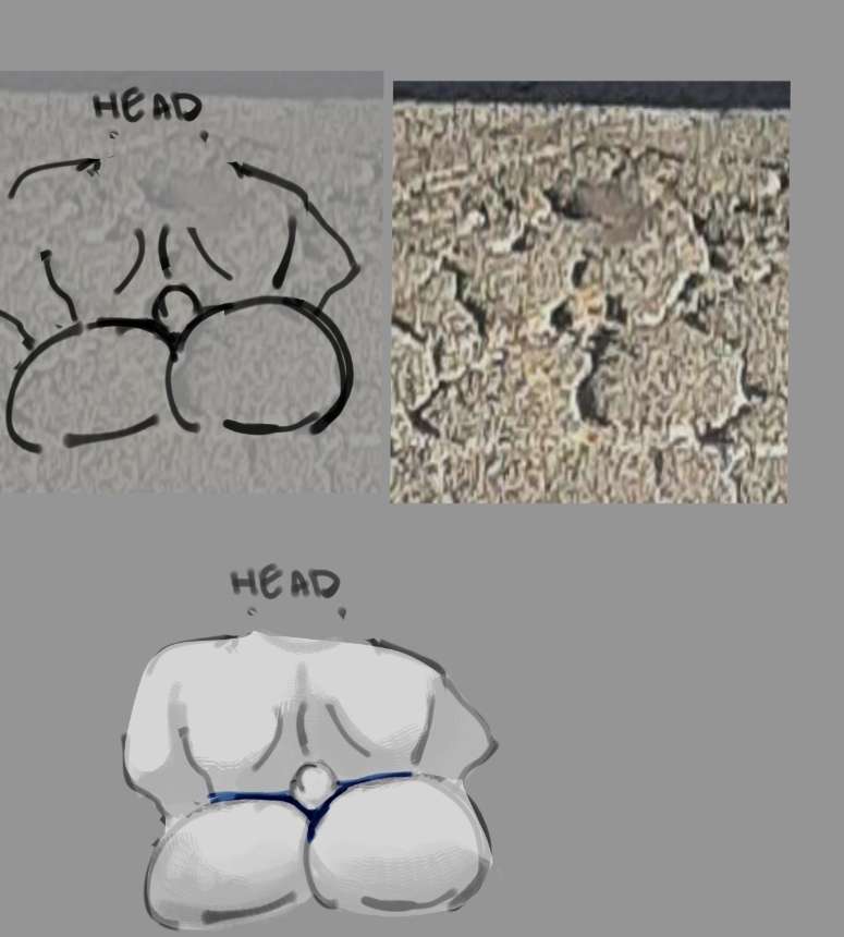 Kept seeing furry ass in the cracks of the asphalt 