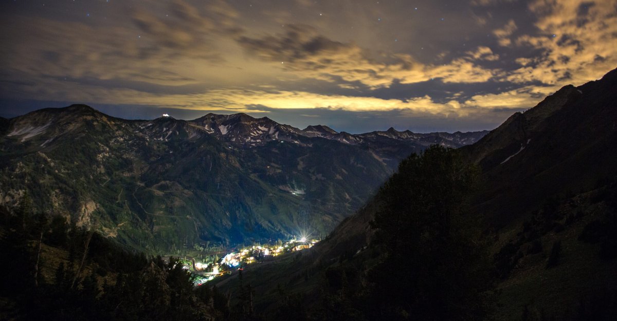 Williams Lab tweet media