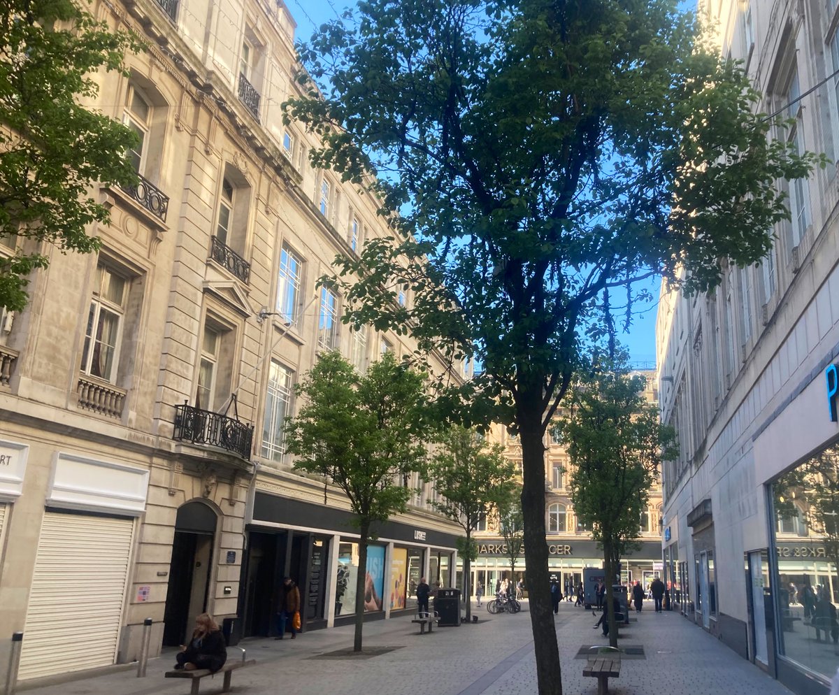 friendsofroscoe's tweet image. Top evening at The Athanaeum with @LivTropicals @sinogrande @TheBotanics talking abt the Roscoe Collection &amp;amp; the rollercoaster ride of how the plants have survived through world wars, political wars &amp;amp; budget wars. 

May we see more hope for the future of the plant collection💚