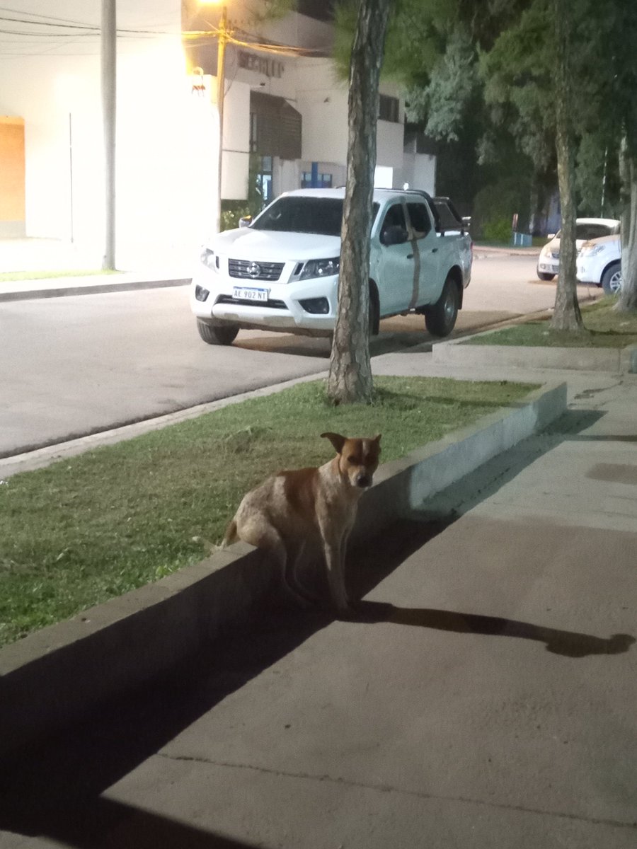 Que calidad e