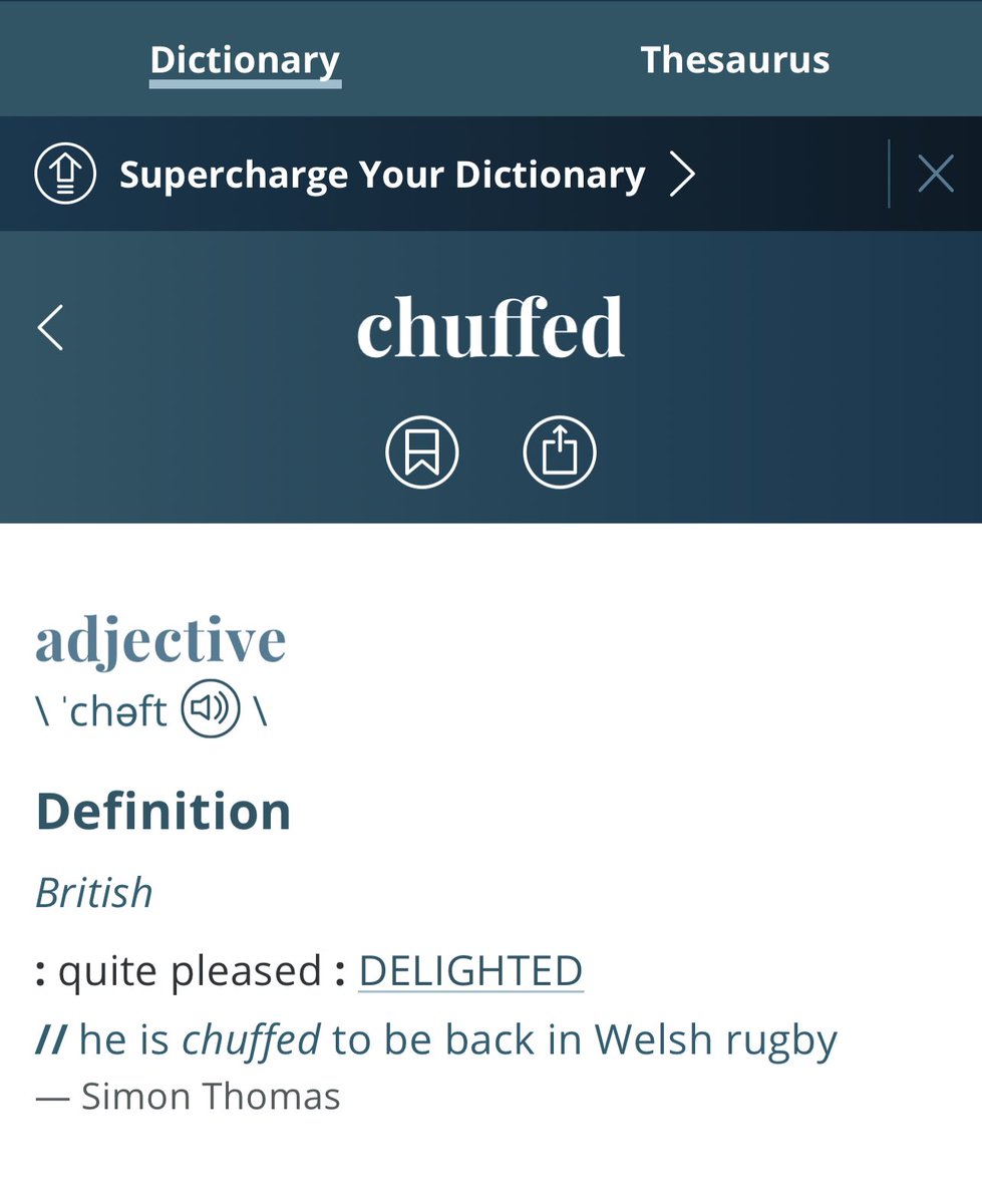 Kate Segrin tweet media