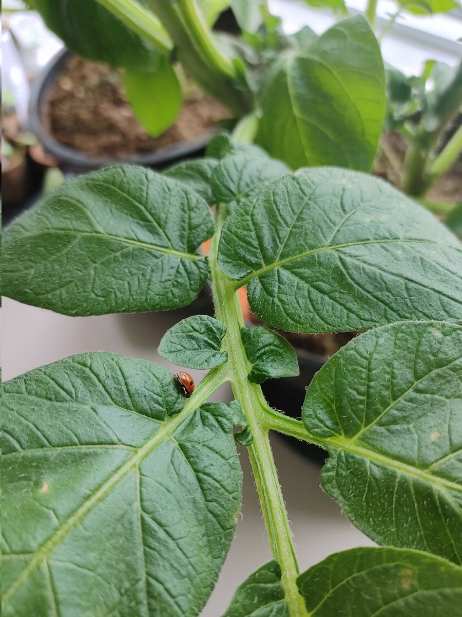 Angie Angle tweet media