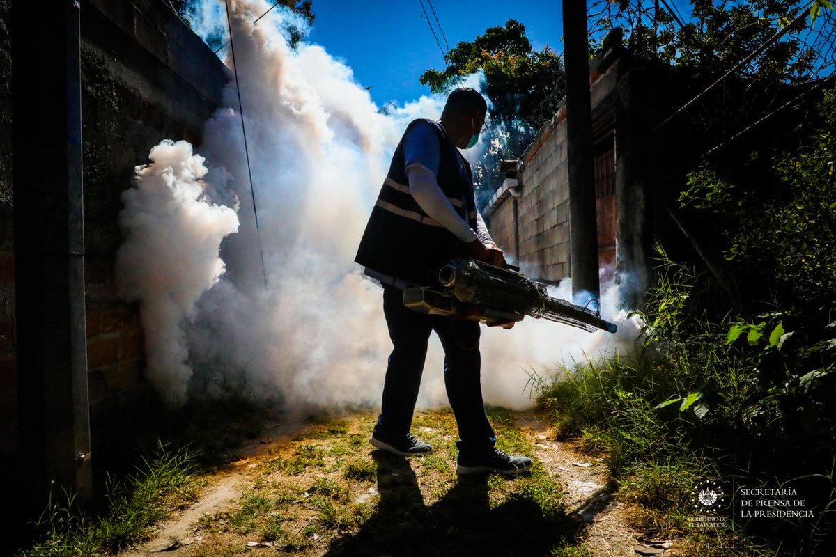 SecPrensaSV's tweet photo. #ControlDeVectores | Gobierno intensifica acciones contra el dengue en época de transición de verano a invierno. Acá los detalles: https://t.co/luvsyU562O. #SecretaríaDePrensa https://t.co/wKs5fXGRYu