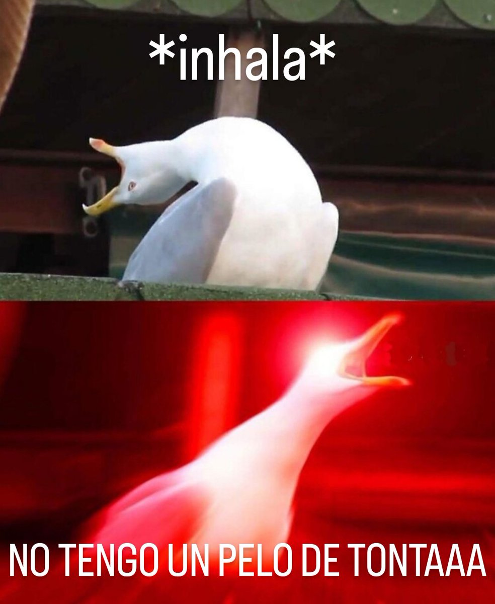 cecidealbuq's tweet image. Yo cantando el nuevo tema de Nathy Peluso versión cancha