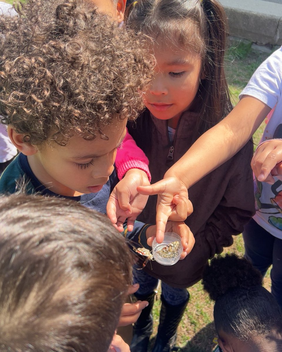 People say “take only pictures, leave only footprints.” #EarthDay2023 #butterflyrelease #ScholasticNews #nature #letsfindout @ScholasticTeach @School5Yonkers @YonkersSchools