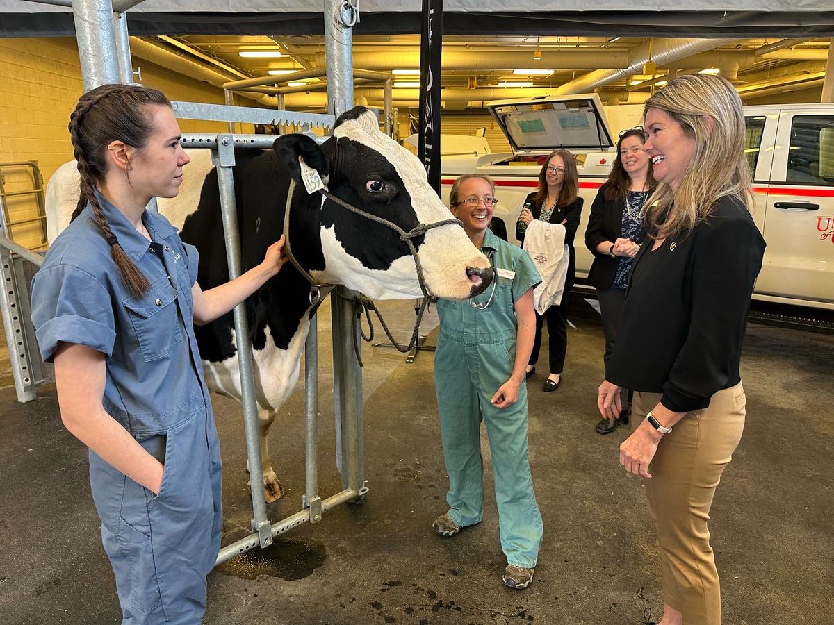 Jill Dunlop tweet media