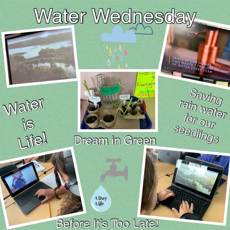 SilverBluffElem's tweet photo. Water Wednesday 
#earthweekchallenge #everydayisearthday 
#WaterisLife https://t.co/mGq2liSbJ7