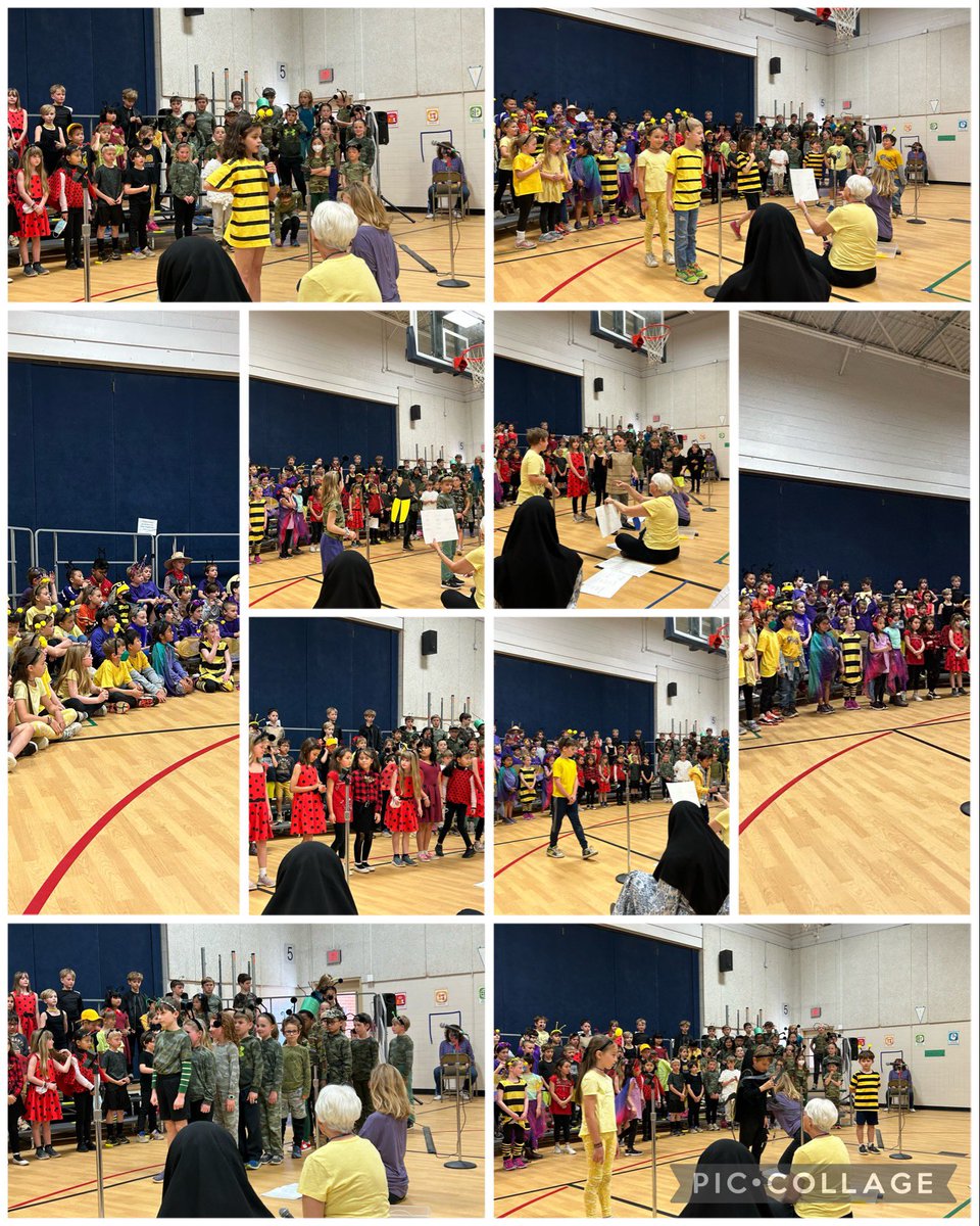 Wakefield Forest ES Library (@wfeslibrary) on Twitter photo It was a pleasure watching these wonderfully talented second graders perform their Bugz musical yesterday! Way to go, friends! <a href="/WFES_Music/">WFES_Music</a> <a href="/WakefieldForest/">Wakefield Forest ES</a> <a href="/rumohrwfes/">Nina Rumohr</a> @WFES_Reynolds <a href="/MrsConques2nd/">Mrs. Conques</a> <a href="/WFESKhasawinah/">Ms. Khasawinah</a> It was a pleasure watching these wonderfully talented second graders perform their Bugz musical yesterday! Way to go, friends! <a href="/WFES_Music/">WFES_Music</a> <a href="/WakefieldForest/">Wakefield Forest ES</a> <a href="/rumohrwfes/">Nina Rumohr</a> @WFES_Reynolds <a href="/MrsConques2nd/">Mrs. Conques</a> <a href="/WFESKhasawinah/">Ms. Khasawinah</a>