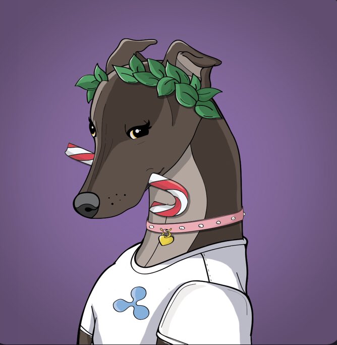 suzus234's tweet photo. @XRPLGreyhound #houndies https://t.co/gk7tq68ENe