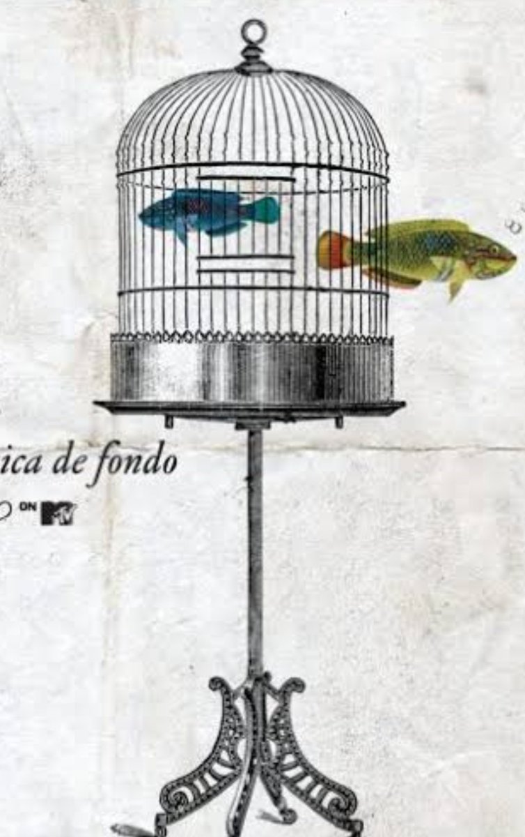 LeonBenLarregui tweet picture