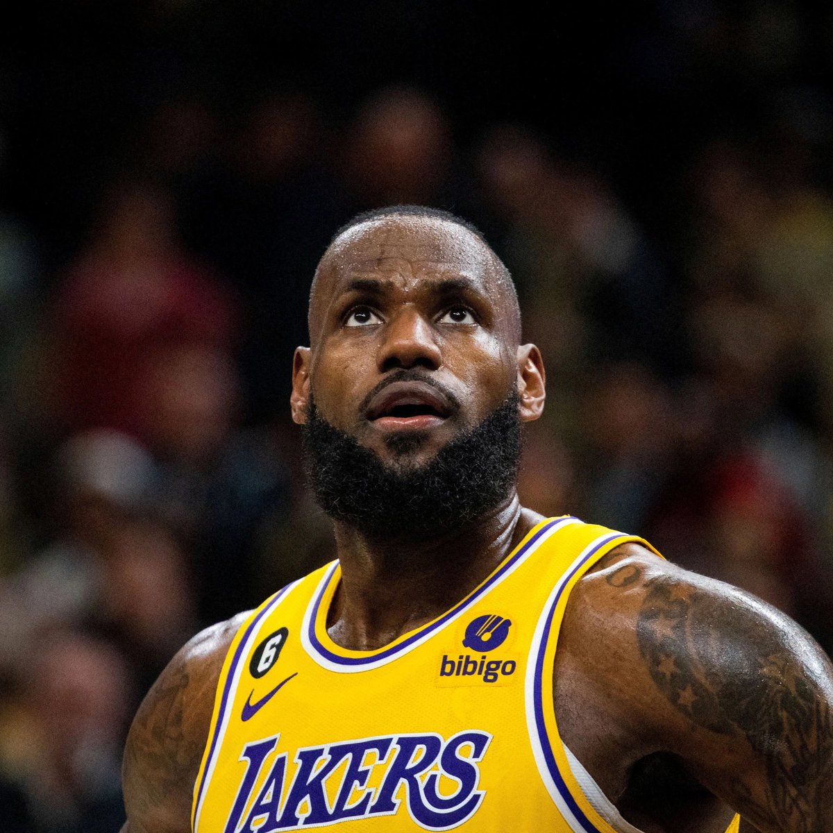 TheDunkCentral's tweet photo. Elon Musk confirms he’s paying for LeBron James’ verification check mark https://t.co/nZMK3NO22u