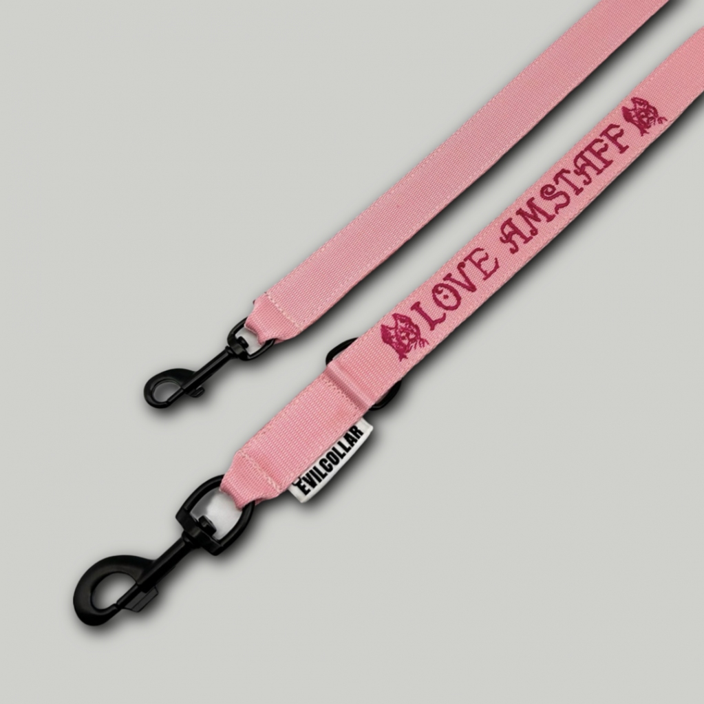 EvilCollar's tweet photo. Tieni il tuo Amico con stile con il nostro #guinzaglio Addestramento Personalizzato da 3 cm di larghezza e 200 cm di lunghezza! Inizia personalizzando il tuo stile unico scegliendo uno dei nostri 15 colori e personalizzalo ulteriormente con il nome del… https://t.co/NdfcdGVag9 https://t.co/68WtO7EJau