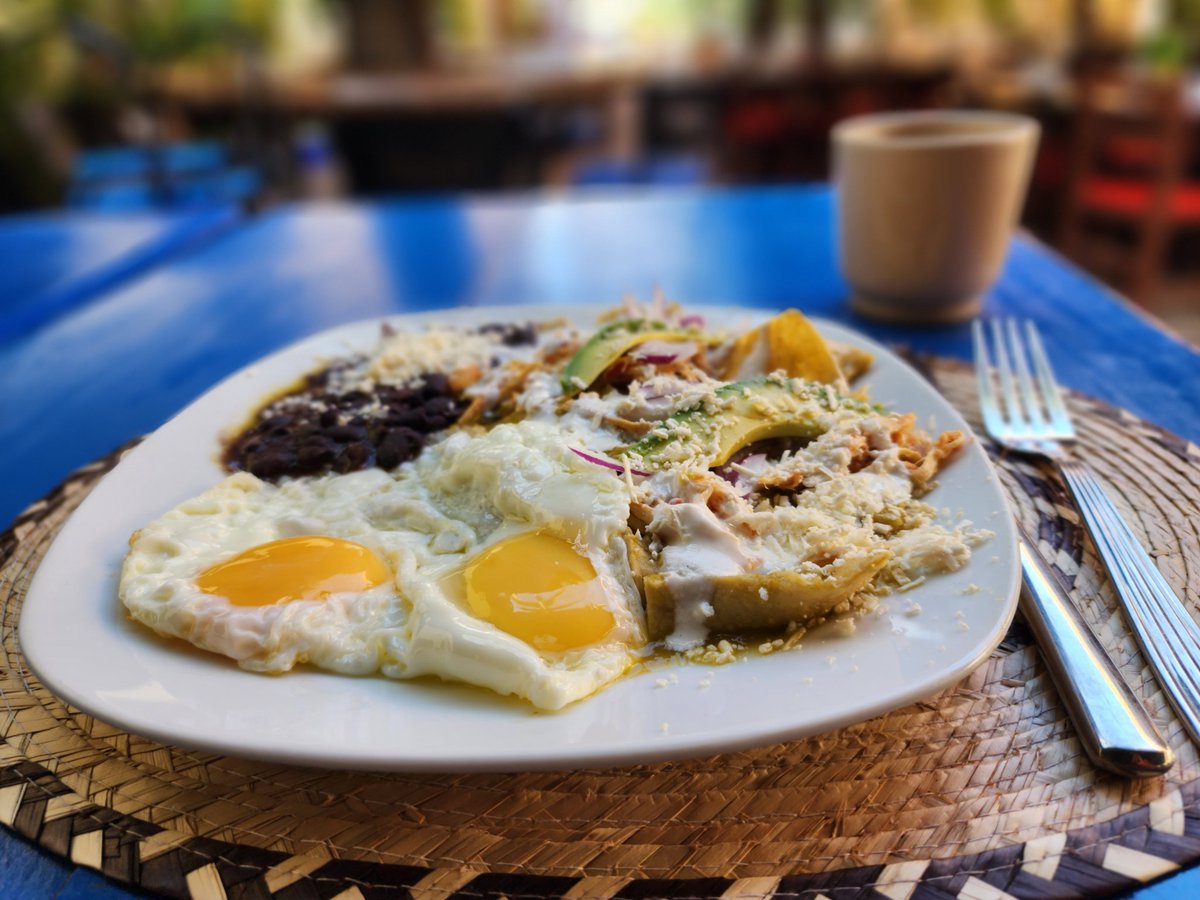 #ixtapadrisimo RT® tweet media