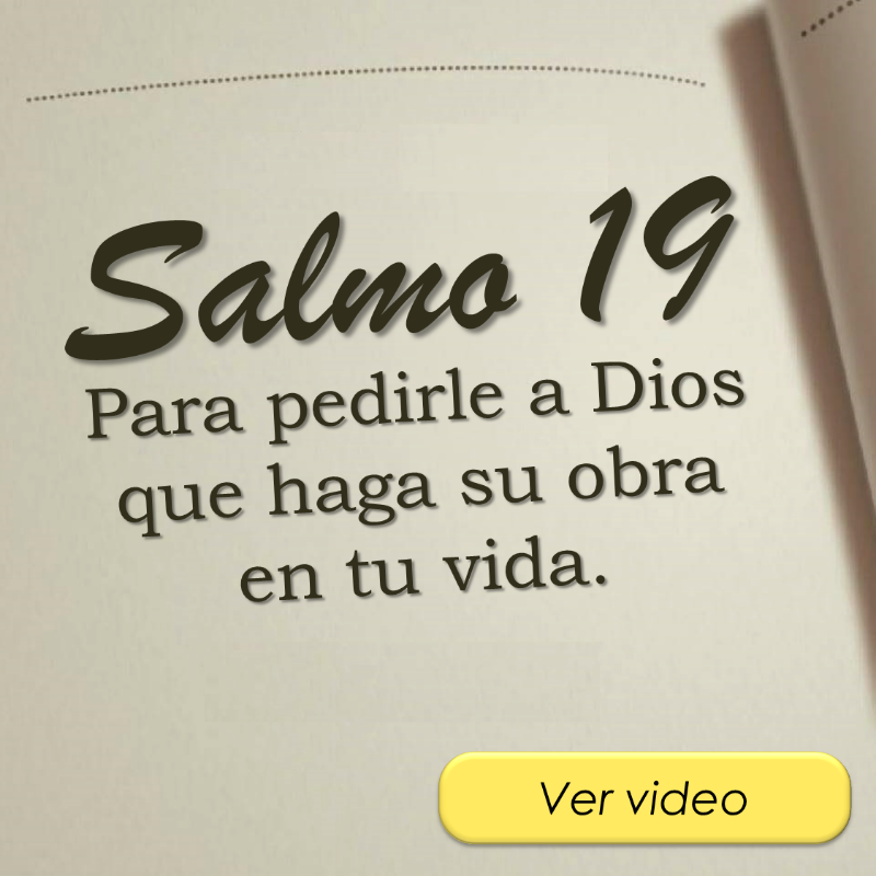 oracion_milagro's tweet photo. AMADO DIOS, te pido que hagas tu obra en mi vida y que seas Tú orientando mi destino según tus planes y tu voluntad; porque así como la luz del sol llega a toda la tierra, del mismo modo tus bendiciones resplandecerán en mi vida.

Continúa esta oración en: https://t.co/GcLUQxvJ7X