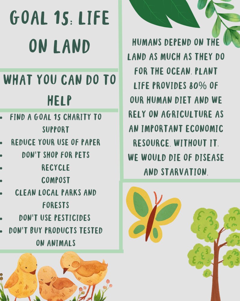 Cynthia Belliveau tweet media