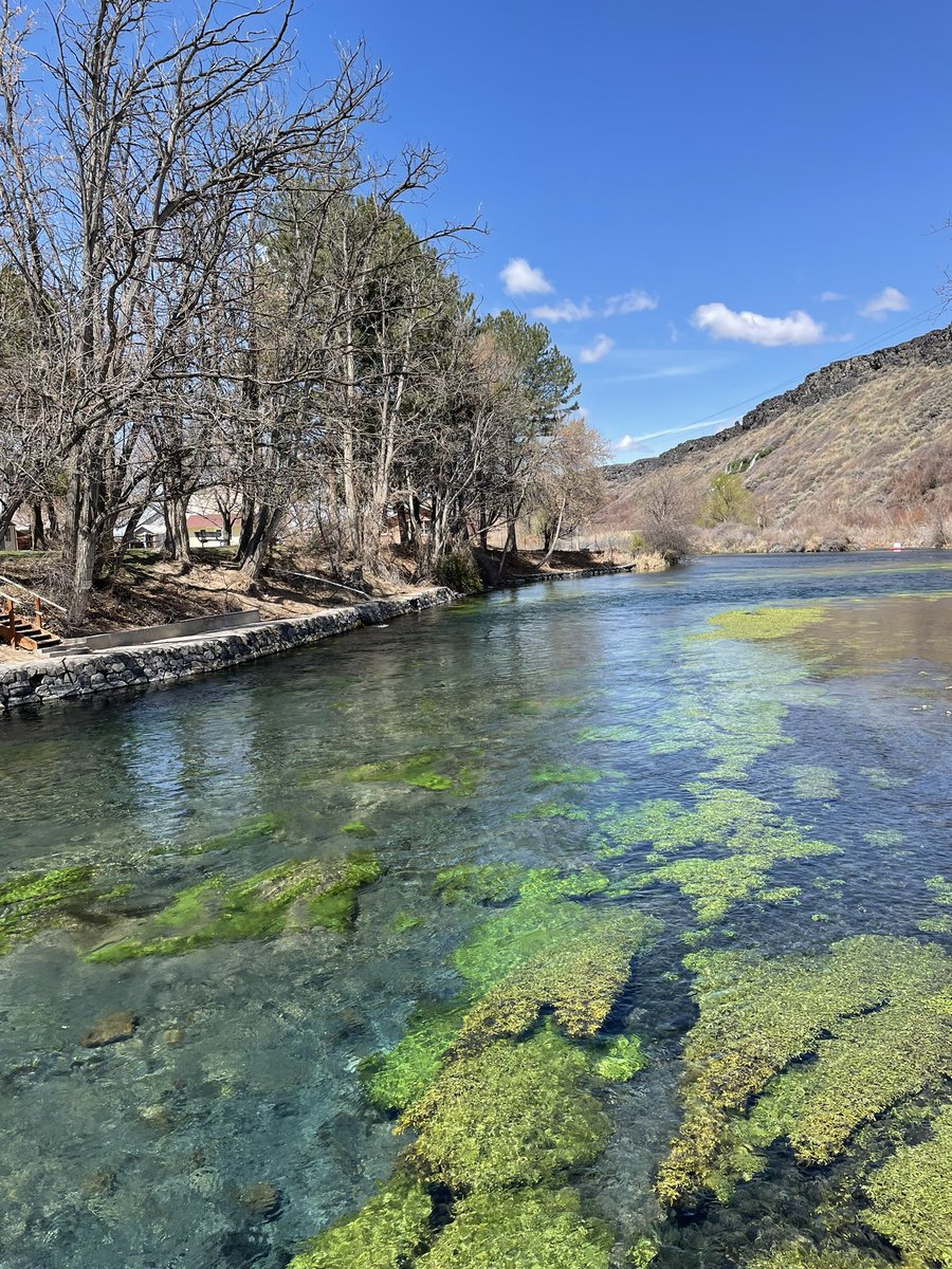 Fun time learning about big-scale trout farming by Idaho’s Snake River with the #SEJ2023 crew