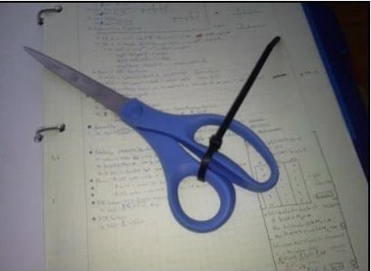 Andrea Noel tweet media