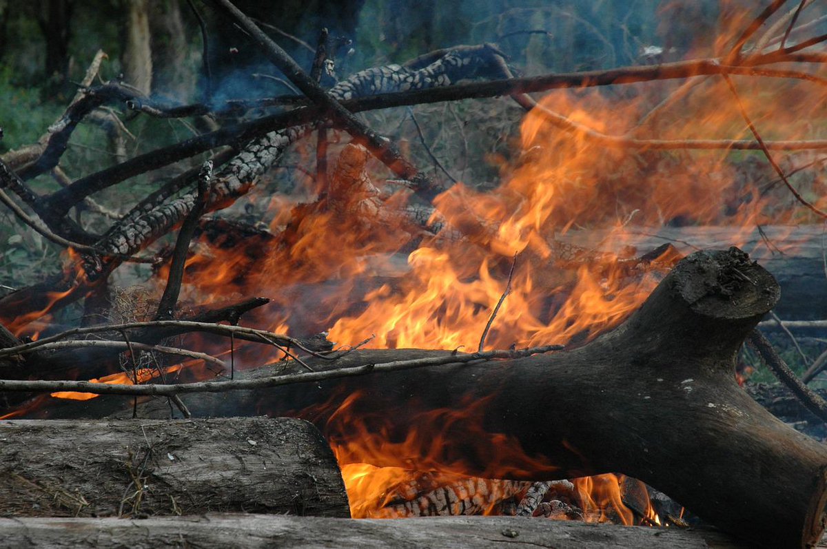 UsaDropship's tweet photo. Are you a #business owner looking for #wholesalers
& #dropshipping #suppliers for #camping #bushcraft
#preppersupplies #survivalkits ? We have the golden
hookup! Get more #wholesale & #dropship information
here https://t.co/Ld3wCfcDFv https://t.co/WLX0lO5O6Q