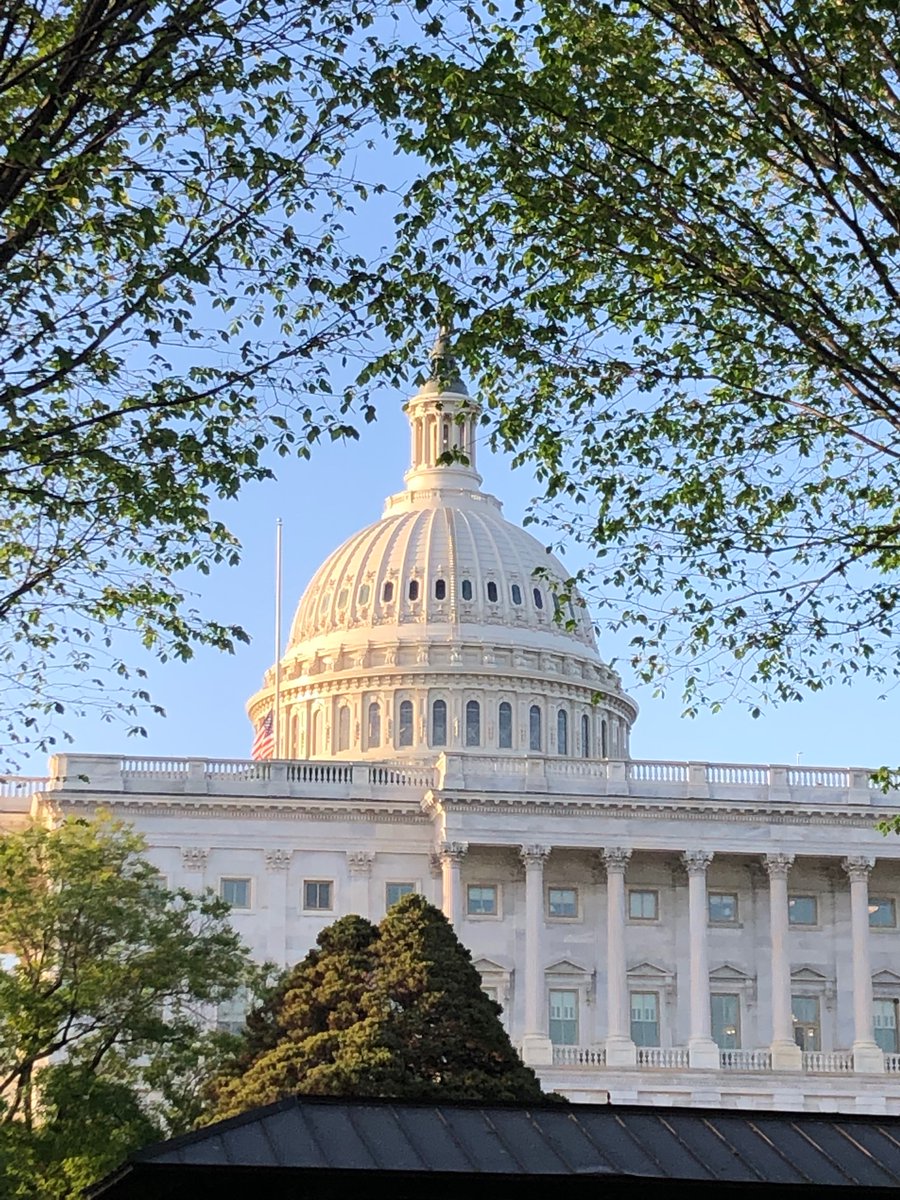 AmandaCIllinois's tweet photo. The Hill. Where bills become a law. FYI, wear comfortable shoes. #CapitalHill https://t.co/Pt7JUiVtvF