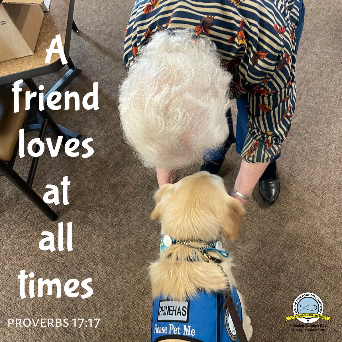 Hi friend, I said a prayer for you today. Praying that God would touch you with His healing hand and give you the comfort and strength you need to get through any struggles you may have.  
Love and hugs 💙🐾💙 <a href="/K9ComfortDogs/">LCC K-9 Comfort Dogs</a>