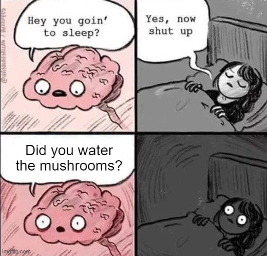 When it's time to sleep... 🍄<a href="/BitcoinShrooms/">BitcoinShrooms</a>