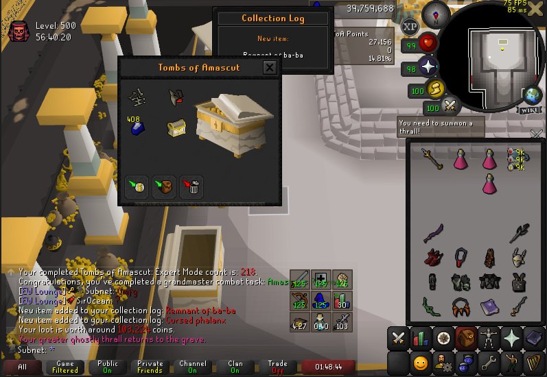 SubnetRS's tweet photo. 1st 500 Warden attempt cleared! Kit + Baba pet mog https://t.co/18u0fdMuJT