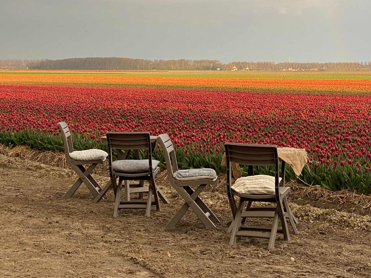 MonicaKlement's tweet photo. Koffie met uitzicht. Morgen start het @StEPTulpen tulpenfestival t/m 7 mei. Rijd de route, fiets en kom langs! Mij vind je aan het Onderduikerspad in Espel, Noordoostpolder. Ieder weekend. Welkom. https://t.co/9sMxDnBBbz