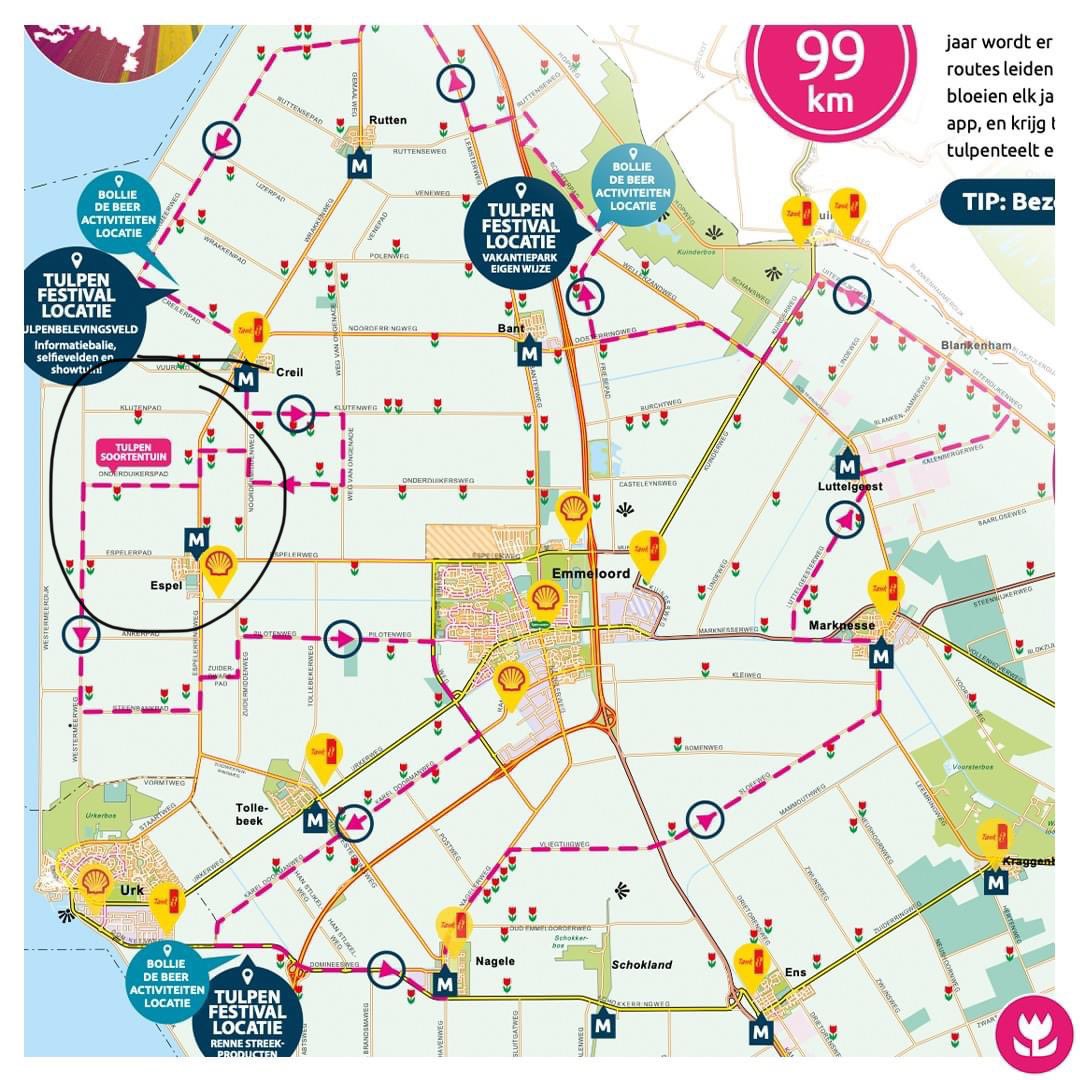 Koffie met uitzicht. Morgen start het @StEPTulpen tulpenfestival t/m 7 mei. Rijd de route, fiets en kom langs! Mij vind je aan het Onderduikerspad in Espel, Noordoostpolder. Ieder weekend. Welkom.