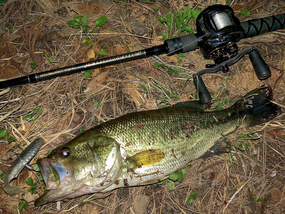 反応無いから帰ろうと思ったら
コツコツバイト😇
ノンソルトで釣れたの初😇