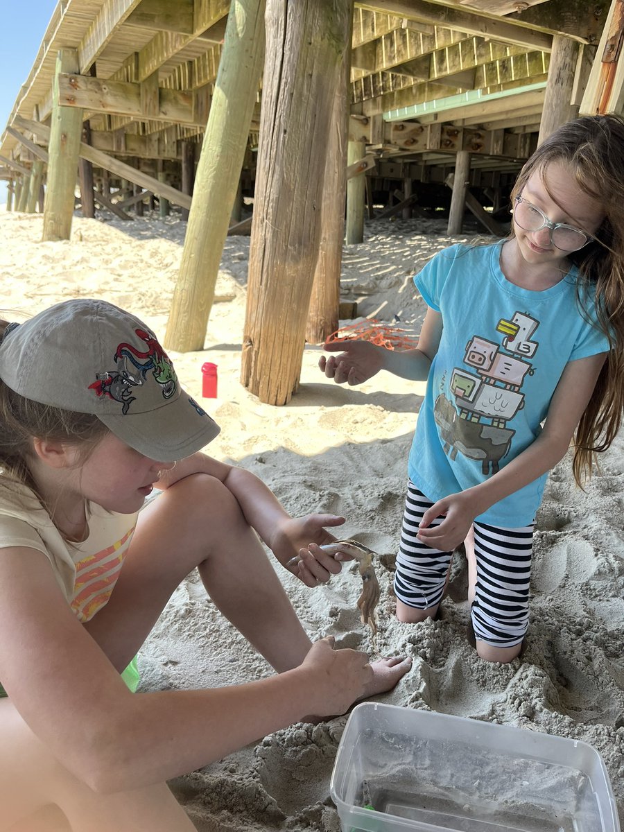 Ocean Studies at Kure Beach was a success! So much fun had by all and it seemed the students were already the experts on all things fossils and ocean life. We trained them well <a href="/NFP_Elementary/">North Forest Pines</a> ! 🐠🦈🦑🐚