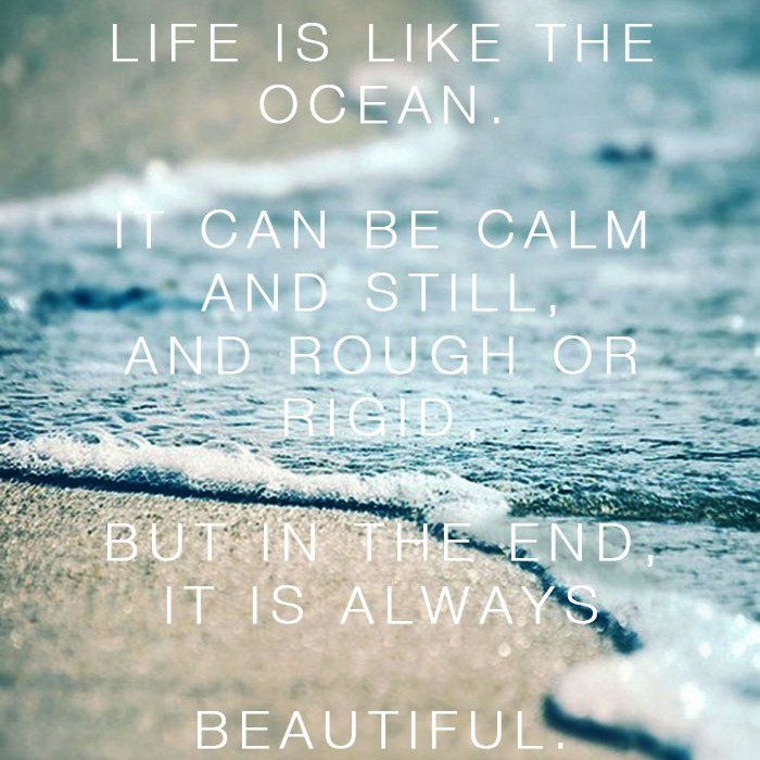 fitnessfashio17's tweet image. #roughwaters #keeppushing #achieveyourdreams #stillwaters #internationalfitnessfashionmagazine #quoteoftheday #inspire
fitnessfashionmagazine.com