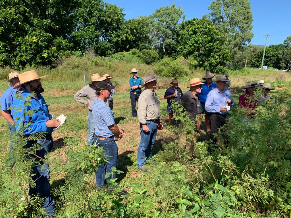 Thanks <a href="/NQDRYTROPICS/">NQ Dry Tropics</a> for a fantastic Field Day yesterday. We heard from <a href="/CSIRO/">CSIRO</a> re legumes reducing methane emissions, <a href="/jcu/">James Cook Uni</a> on new varieties for the tropics, <a href="/NQDRYTROPICS/">NQ Dry Tropics</a> on pasture management, <a href="/UQGattonUpdate/">UQ Gatton</a> on sterile Leucaena and <a href="/AgrimixPastures/">Agrimix</a> on soil carbon measurement