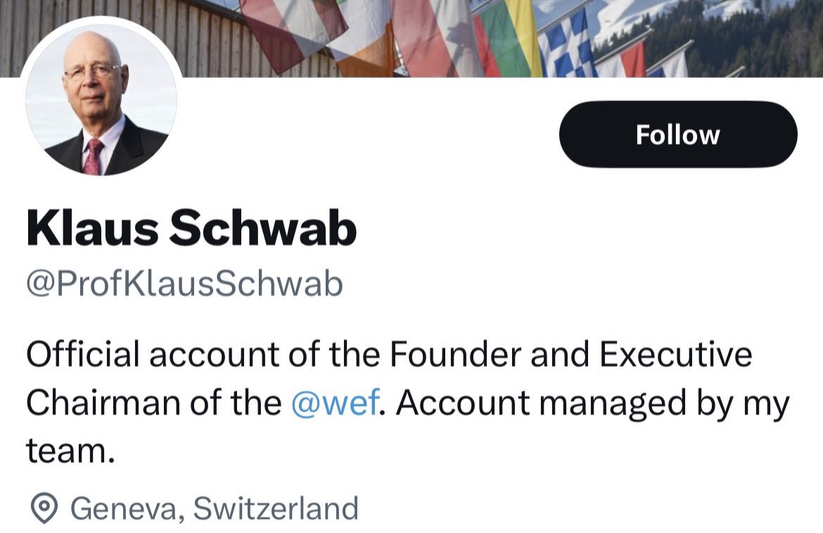 Liz Churchill tweet media