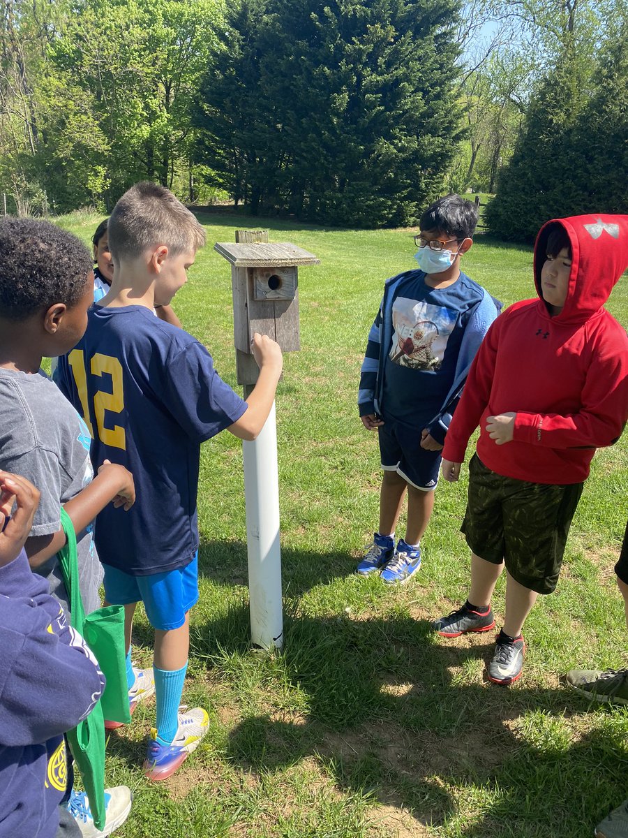 Carey Domena tweet media