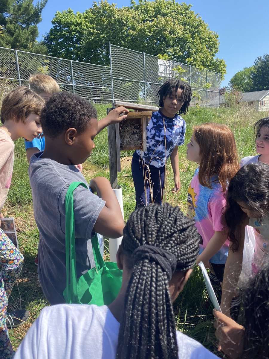 Carey Domena tweet media