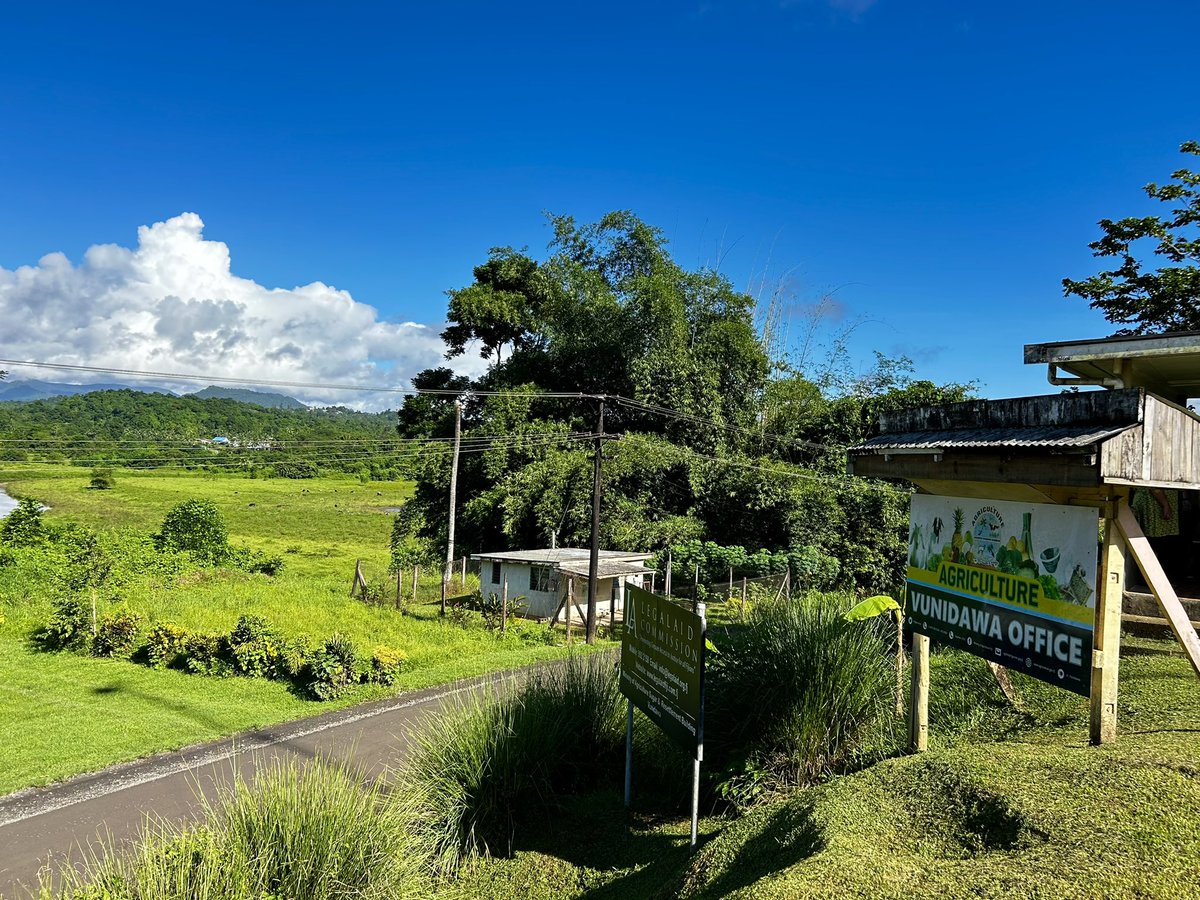 ILOPasifika tweet media