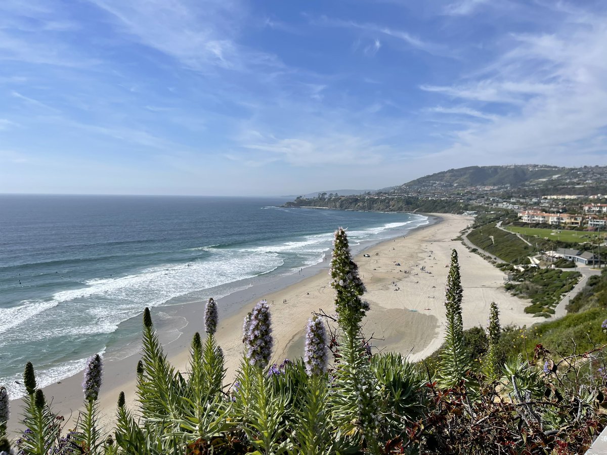 But I did take pics outside a meeting room at @HealthEvolution in Laguna Beach. Quite a view! Amazing conversations and knowledge sharing. Different focus but a lot on data exchange, usage and workflows here too. #InteropDoneRight. Thank you @Wellsky for the panel Invite.