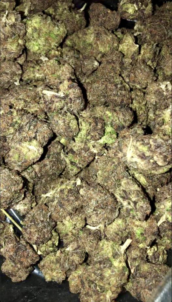 ZaddyMack's tweet photo. #ZAZA #TOPSHELF #EXOTIC #RAPPERWEED #BISCOTTIPANCAKES #PRESSURE #420 #COMESHOP #HAMPTON #NEWPORTNEWS #757FREAKS https://t.co/08Xd9qjfy8