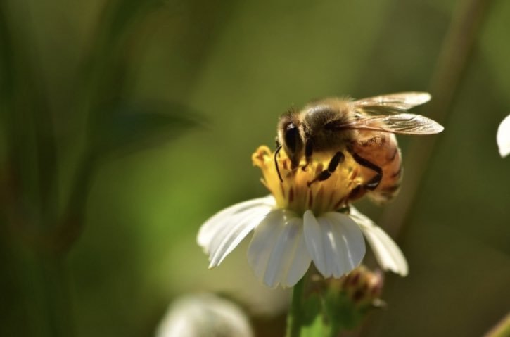 Sara Laughter tweet media