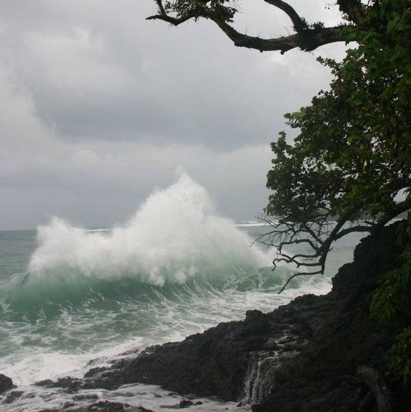 archillect's tweet image. 