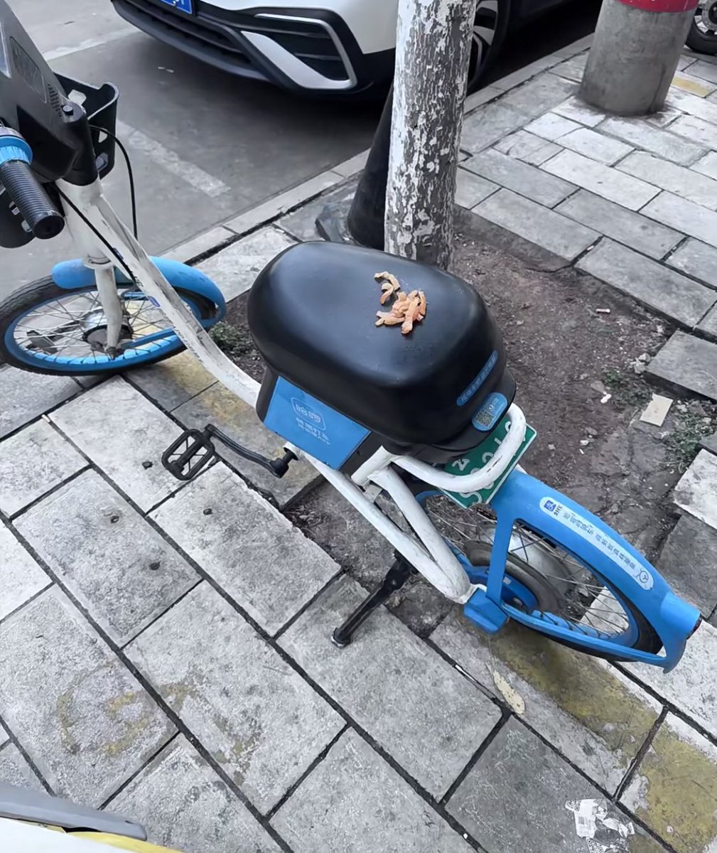 AidynBuck1's tweet photo. 门口助力车都被放了不明物体 太缺德了🤬 https://t.co/sHB0o368I4