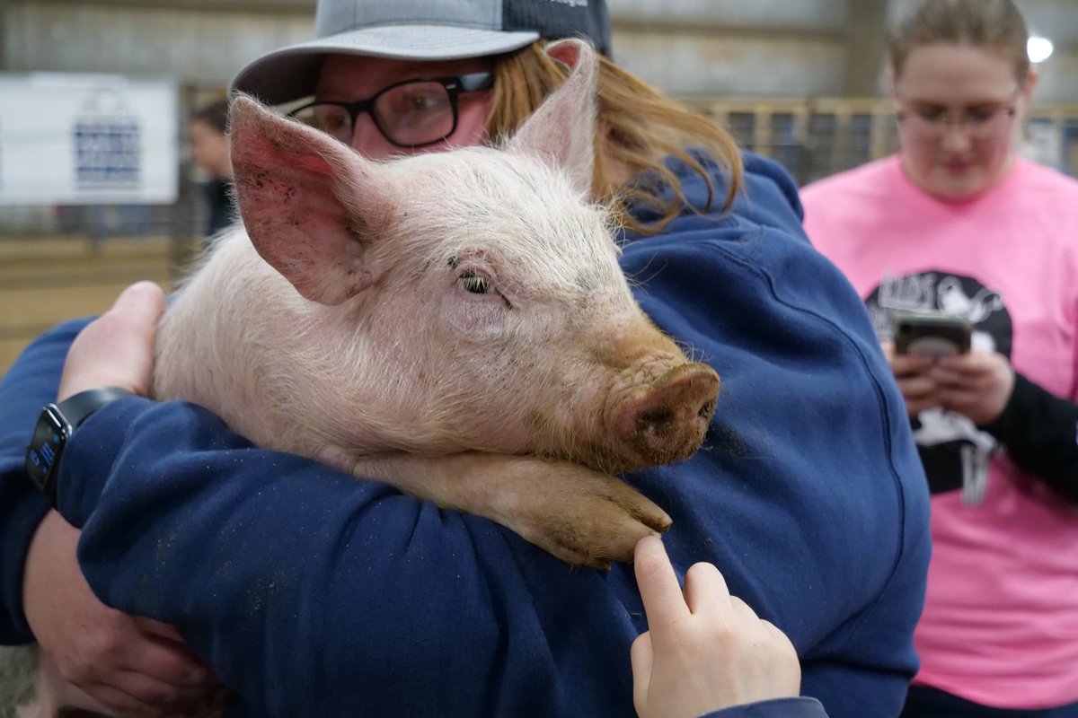 🐷💋 | And the winner of the 'Kiss the Pig' is....Toby Stroh!

Thank YOU to everyone who donated! The proceeds benefit the DSU Dept. of Agriculture and Technical Studies trip to Japan in 2024! #hawksareup