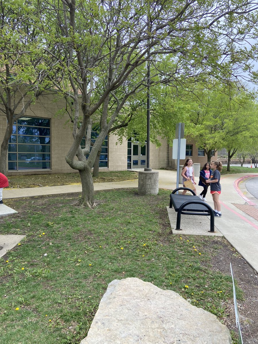 amycur's tweet photo. Went outside for math to go on a scavenger hunt to find all the arrays around us! ⬆️⬇️➡️⬅️ https://t.co/03OfiKPQO5