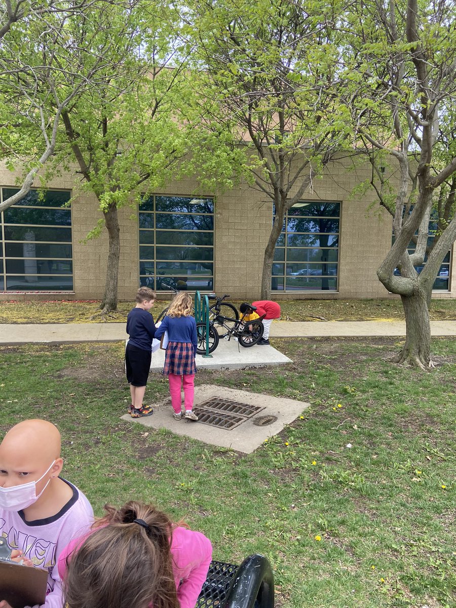 amycur's tweet photo. Went outside for math to go on a scavenger hunt to find all the arrays around us! ⬆️⬇️➡️⬅️ https://t.co/03OfiKPQO5