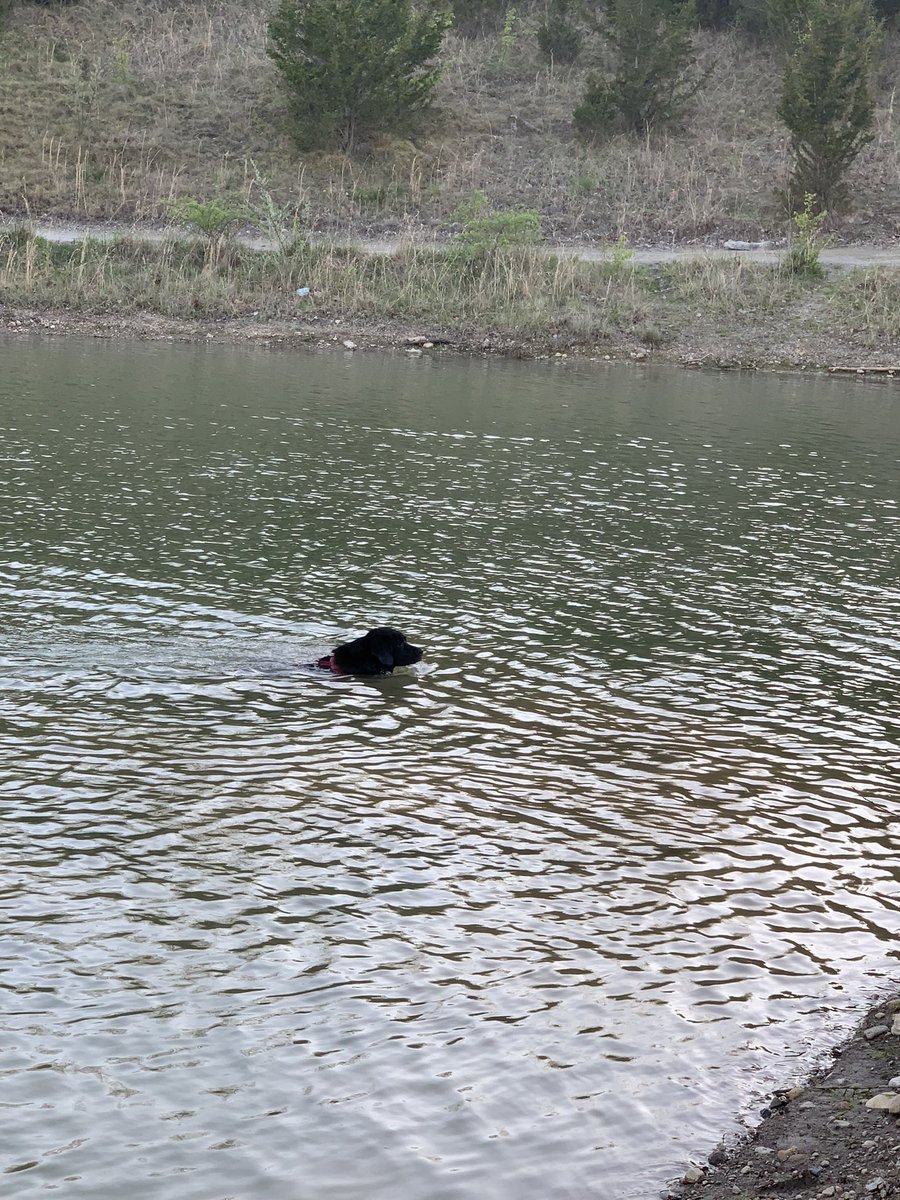Pops says I swim looking like the Loch Ness monster