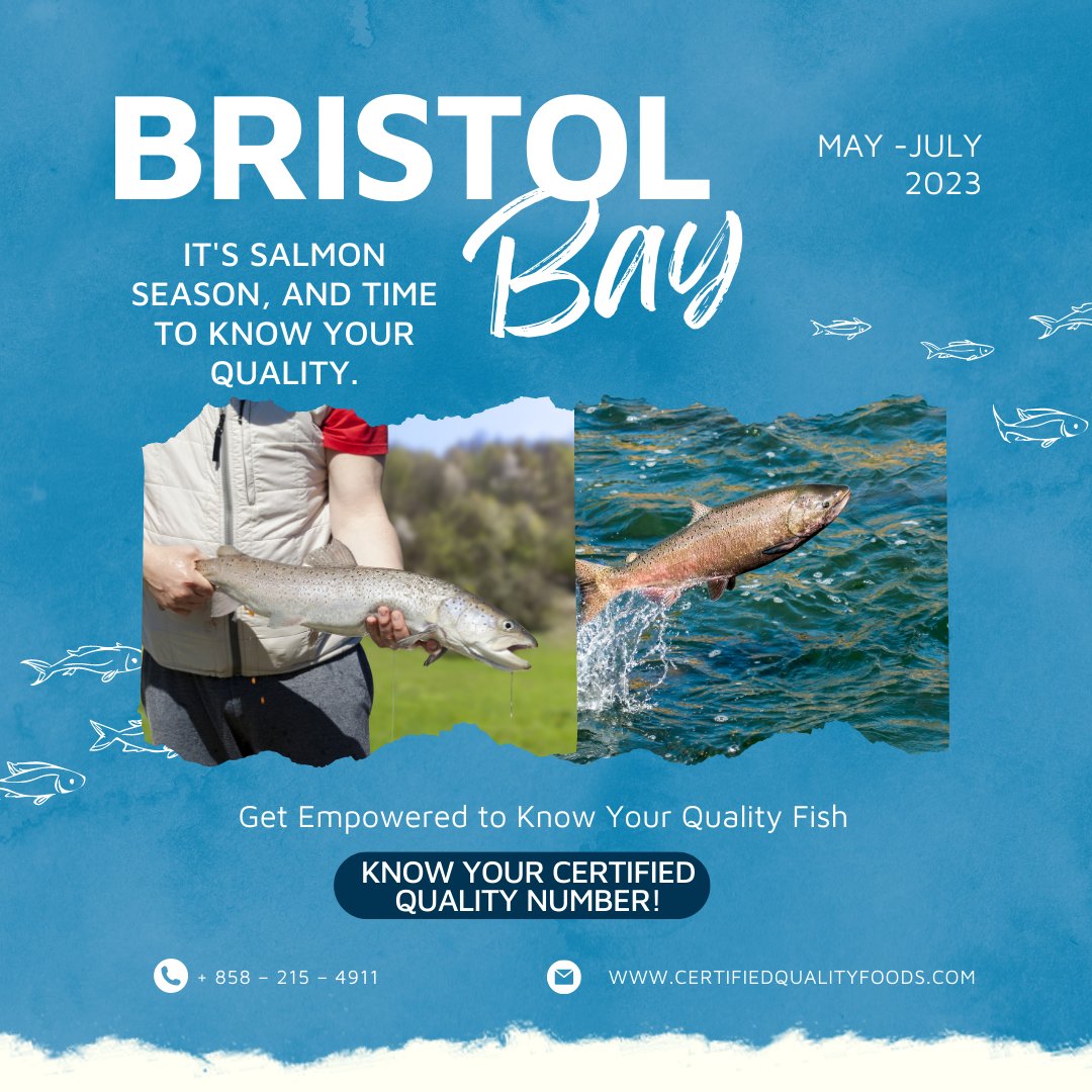 This year from May, June, and July, get ready to sell your catch for the highest premium! Now is the perfect opportunity to implement our CQR quantitative freshness measurements into your QA program. Contact us today!

certifiedqualityfoods.com

#BristolBay #Alaska #salmon #Fishing