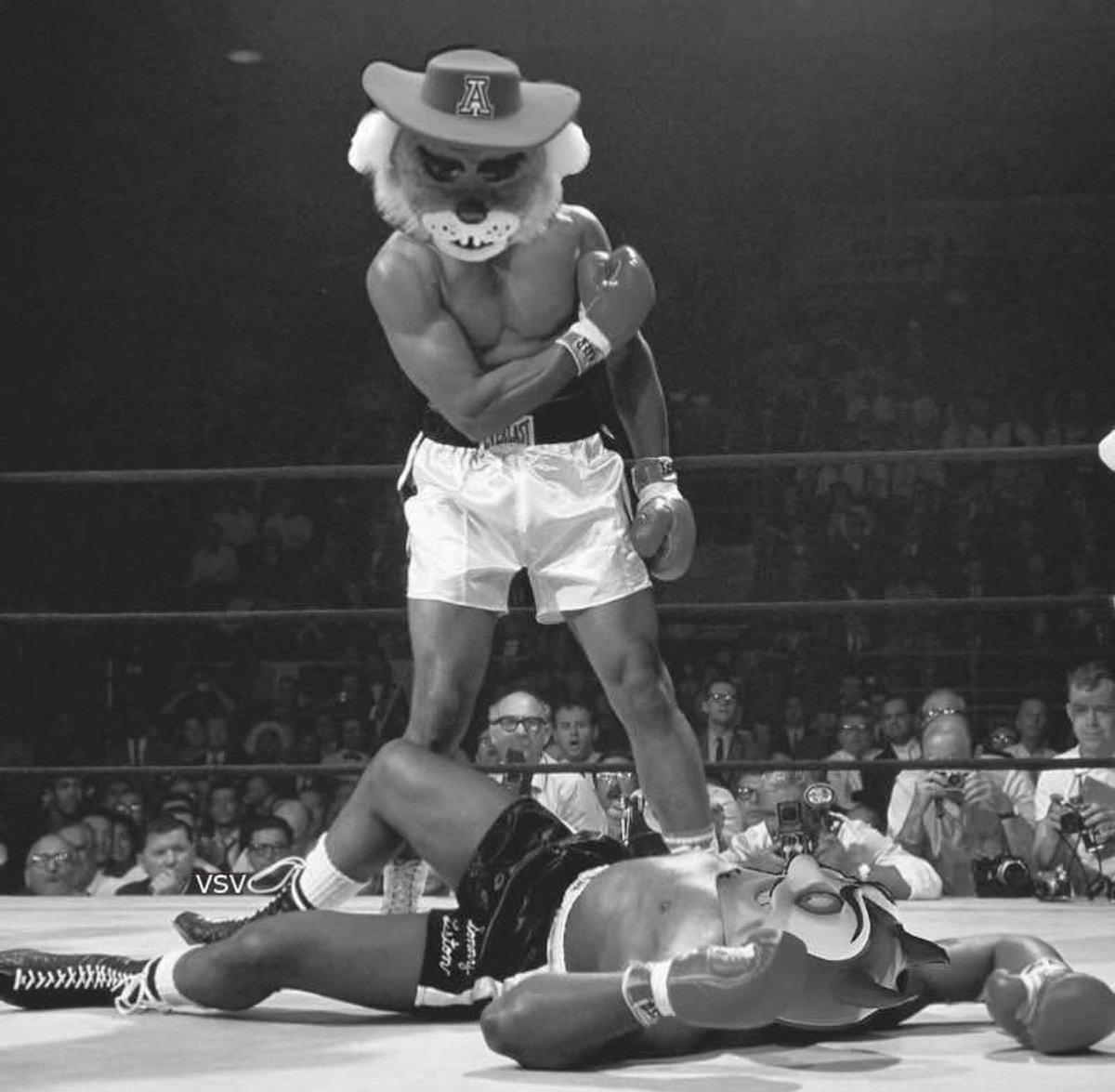 Nothing to see here.. tweet media