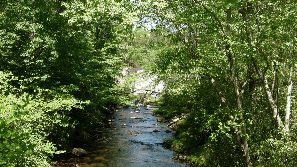 April 22nd is the first day of National Park Week. Take advantage of free entry to any of Virginia's National Park. Discover the beauty of Virginia at one of these parks for outdoor lovers. #VAoutdoors virginiaisforlovers.co/3MMnlUT

📍: Prince William Forest Park