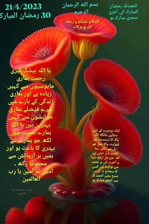 Hamdan (@zeburqan) on Twitter photo 