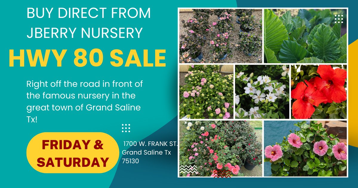 blackdiamondblm's tweet photo. Your other plants will be asking for autographs!  Don't miss out on this blockbuster deal. You all want a storefront opportunity and here it is!

TOMORRW AND SATURDAY (April 21-22) 1700W. Frank St. Grand Saline Tx 75140

#GrandSaline #HWY80Sale #BuyNow #weekendplantsale https://t.co/zuyZxQvGfw